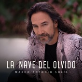 La Nave Del Olvido artwork