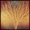 Van Der Graaf Generator