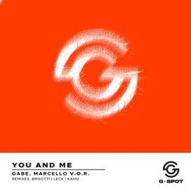 You & Me (Brisotti Remix) Gabe & Marcello V.O.R