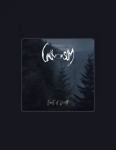 Univorsumを聴いたり、ミュージックビデオを鑑賞したり、経歴やツアー日程などを確認したりしましょう！