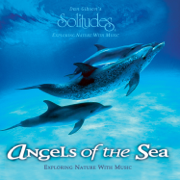 Florida Dream - Dan Gibson's Solitudes