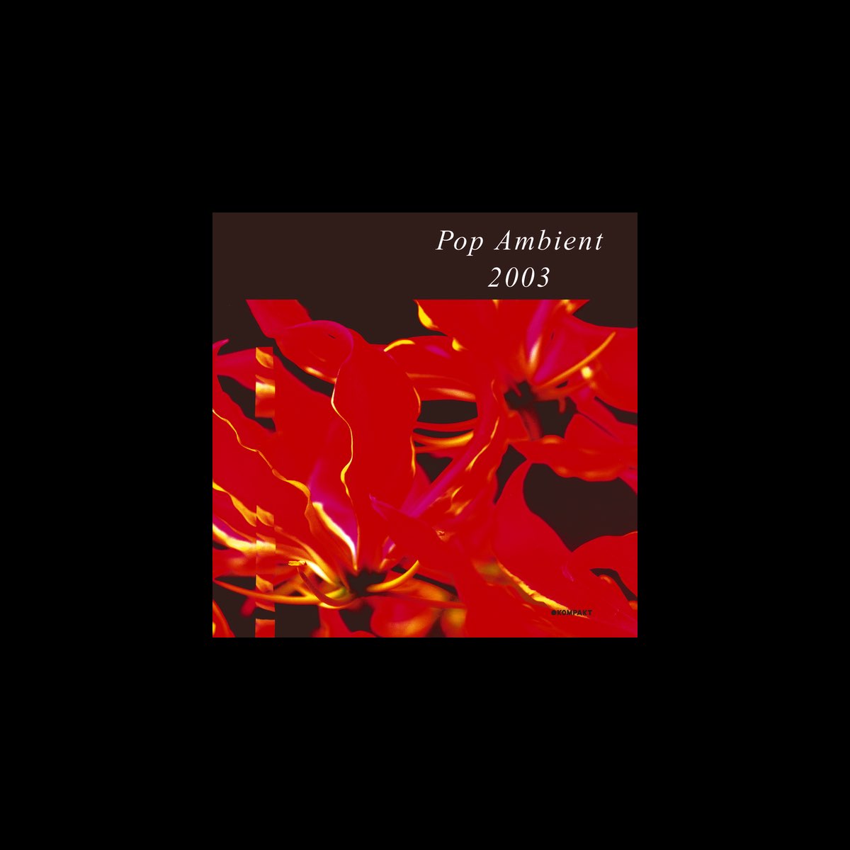 Pop Ambient 2003 by Various Artists on Apple Music