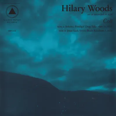 Escucha Colt de Hilary Woods
