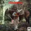 Teixeirinha - Casalzinho Violento