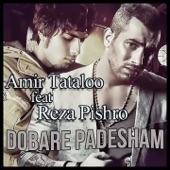 Dobare Padesham artwork