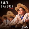 Sébastien Ramirez Sabes Una Cosa (feat. Fermaltos, Sebastián Ramirez, Mariachis Fernandez Uruguay & Fermata Music) Sabes Una Cosa (feat. Fermaltos, Sebastián Ramirez, Mariachis Fernandez Uruguay & Fermata Music) [En vivo] - Single