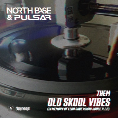 Them Old Skool Vibes - Single