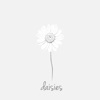 Jessica Baio - Daisies