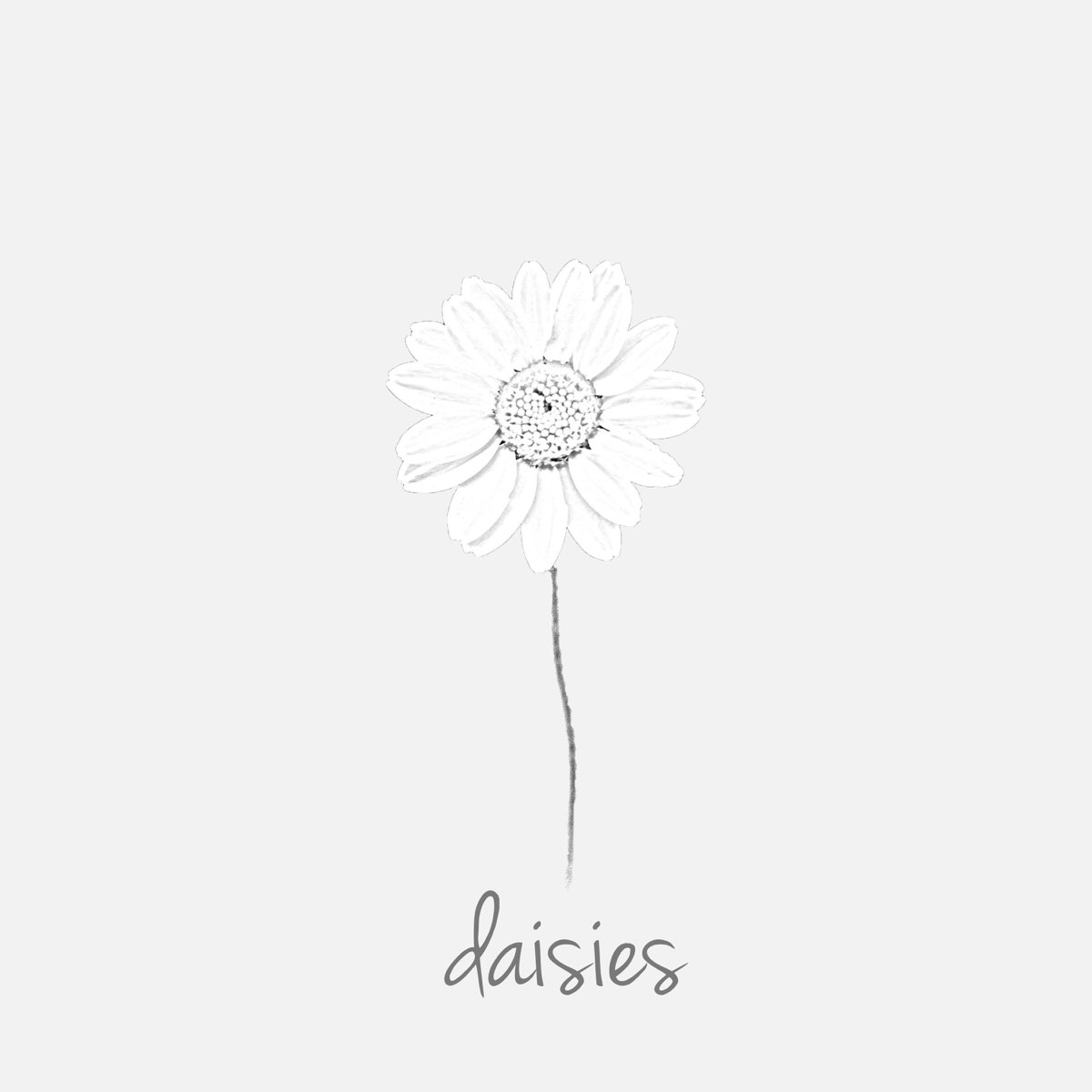 Daisies Single” álbum de Jessica Baio en Apple Music