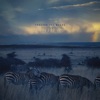 Painted Zebra (feat. Kyndal Inskeep) - Single