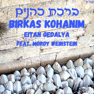 Birkas Kohanim (feat. Mordy Weinstein) - Single