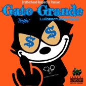 Trifln' & Lulbearrubberband - Gato Grande