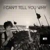 Groove Junkies & Reelsoul - I Can't Tell You Why (feat. Nichelle Monroe) [Groove n' Soul Long Run Vox]
