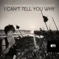 I Can't Tell You Why