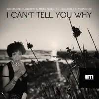 I Can't Tell You Why (feat. Nichelle Monroe) [Groove n' Soul Long Run Vox] — Groove Junkies & Reelsoul