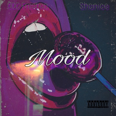 Mood (feat. Shanice) - Single