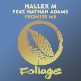 Promise Me (Vocal Mix) Hallex M & Nathan Adams