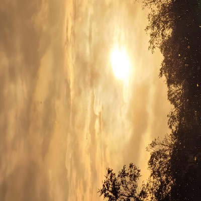 Dimension - Single
