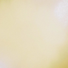 Sun-Drenched Sleepermane