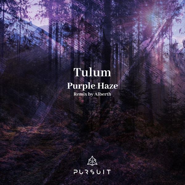 Purple Haze - Single