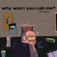 why won't you call me? (feat. Luvless) - Single - Slater