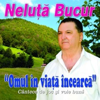 bucur