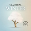Lawrence Foster, Orchestre de Chambre de Lausanne & Jean-François Antonioli - Concierto de Aranjuez: II. Adagio