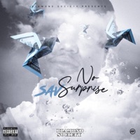 No Surprise - Single - Sav