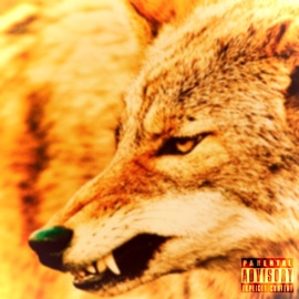 Take Me Serious Kayote