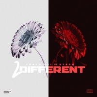 2 Different (feat. Steph) - Single - Truly Uzi