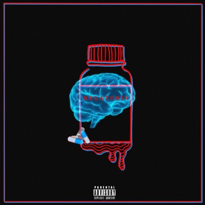 Melatonin (feat. Nick Saga, Joshroader, Thero & Wolf) - Single