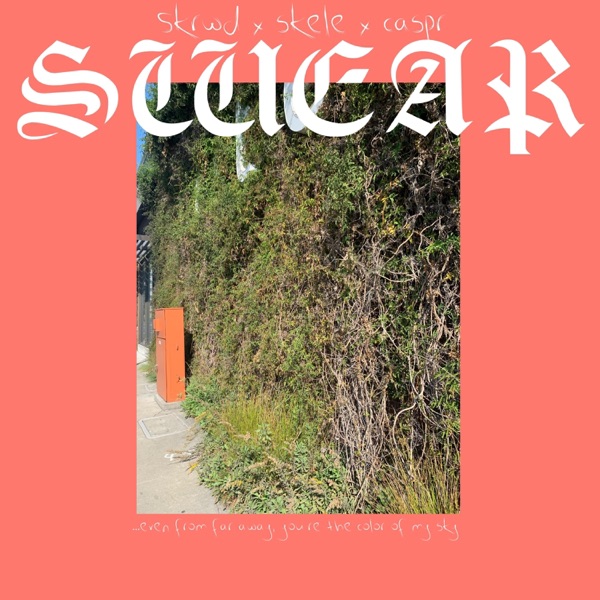 swear (feat. Lil Skele)