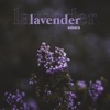 Lavender - Single