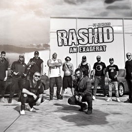Am Exagerat (feat. Jo Klass) Rashid