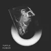 Turtle - Calculate