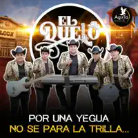 La Mesa 20 — Grupo El Duelo