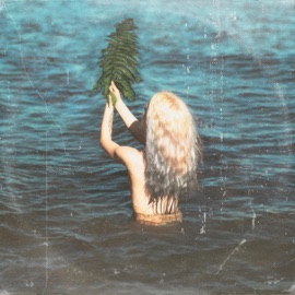 Say How I Feel Psalm Trees