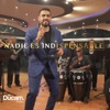 Nadie es Indispensable - Single