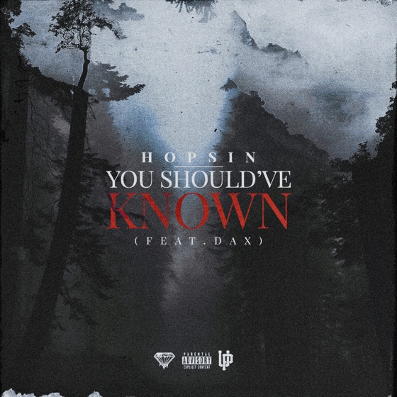 Cover artwork for You Should've Known