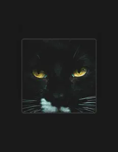 Dengarkan Big Hair, tonton video musik, baca bio, lihat tanggal tur & lainnya!