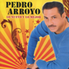 He Decidido Olvidarte - Pedro Arroyo