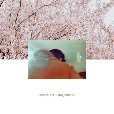 Diving, Thinking, Ending - Single