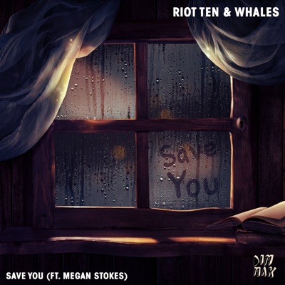 Save You (feat. Megan Stokes) - Single