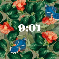 9:01 - Single - Valdi