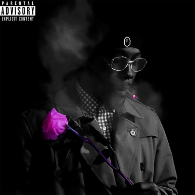 Romeo Adonis and his Adventures on Venus