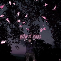 H.I.F (How I Feel) - Single - Brvno