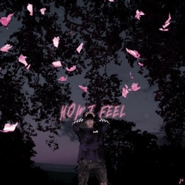 H.I.F (How I Feel) Brvno