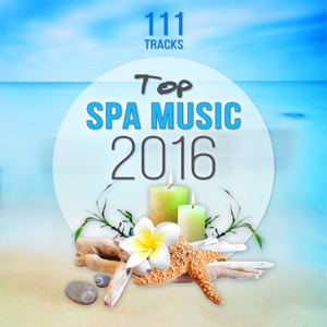 Top Spa Music 2016: 111 Relaxing Tracks, Wellness Center, Tranquility, Zen Lotus Garden, Ayurveda, Holistic Sensual Massage
