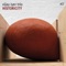 Big Brother - Vijay Iyer Trio lyrics