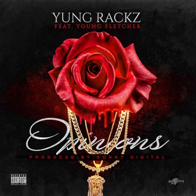 Opinions (feat. Young Fletcher) - Single